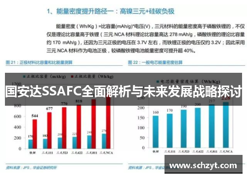 国安达SSAFC全面解析与未来发展战略探讨